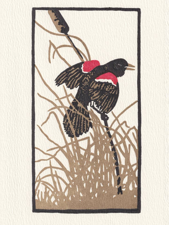Red Wing Blackbird for wholesale by Saturn Press