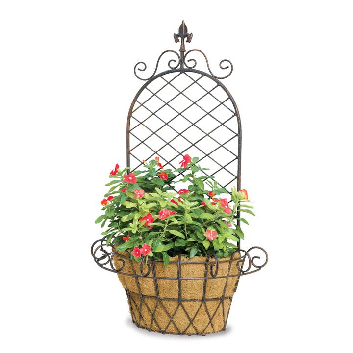 Finial 'X' Wall Basket w/Coco for wholesale by Deer Park Ironworks
