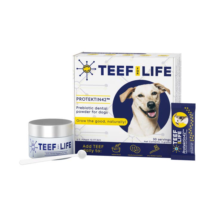 Protektin42™ Kit: Prebiotic Dental Powder for dogs for wholesale by TEEF for Life