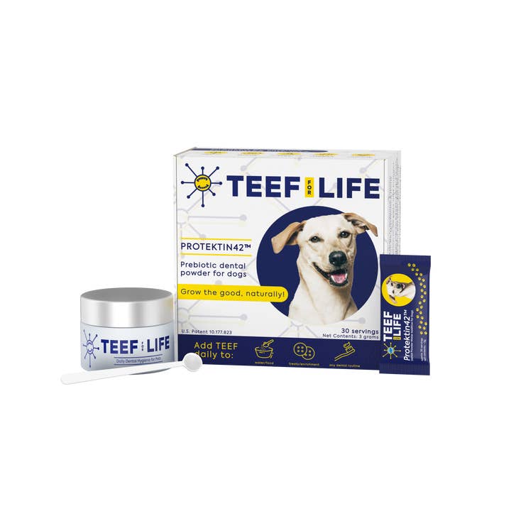 Kit Protektin42™ : poudre dentaire prébiotique pour chiens pour la vente par TEEF for Life