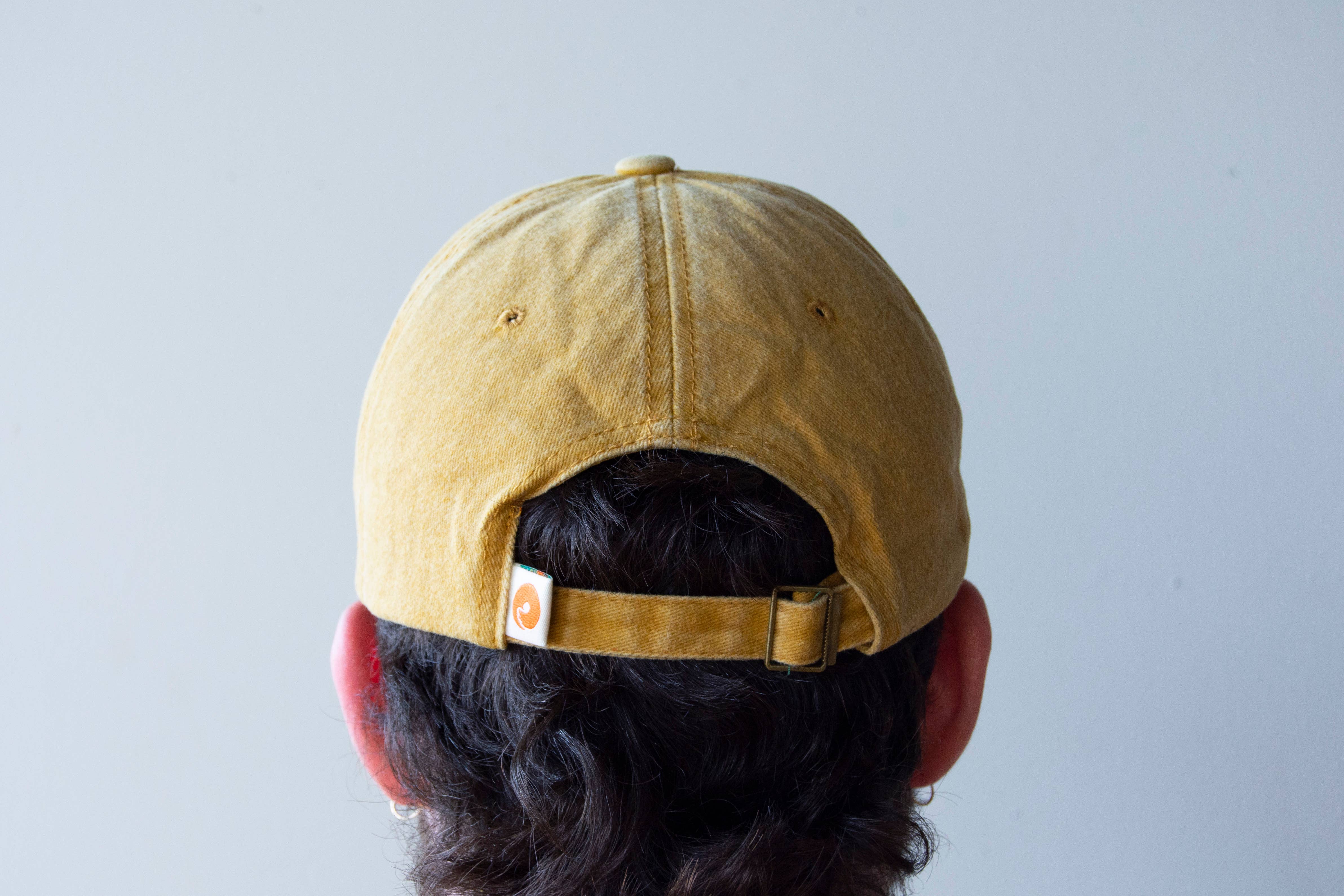 Curlworks - Wholesale Baseball Cap - Unisex - Chicken Hat3