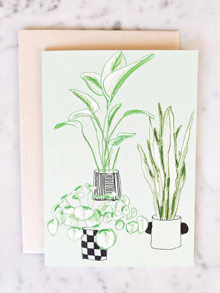 Housewarming Plants for wholesale by Madeleine Sywulak US