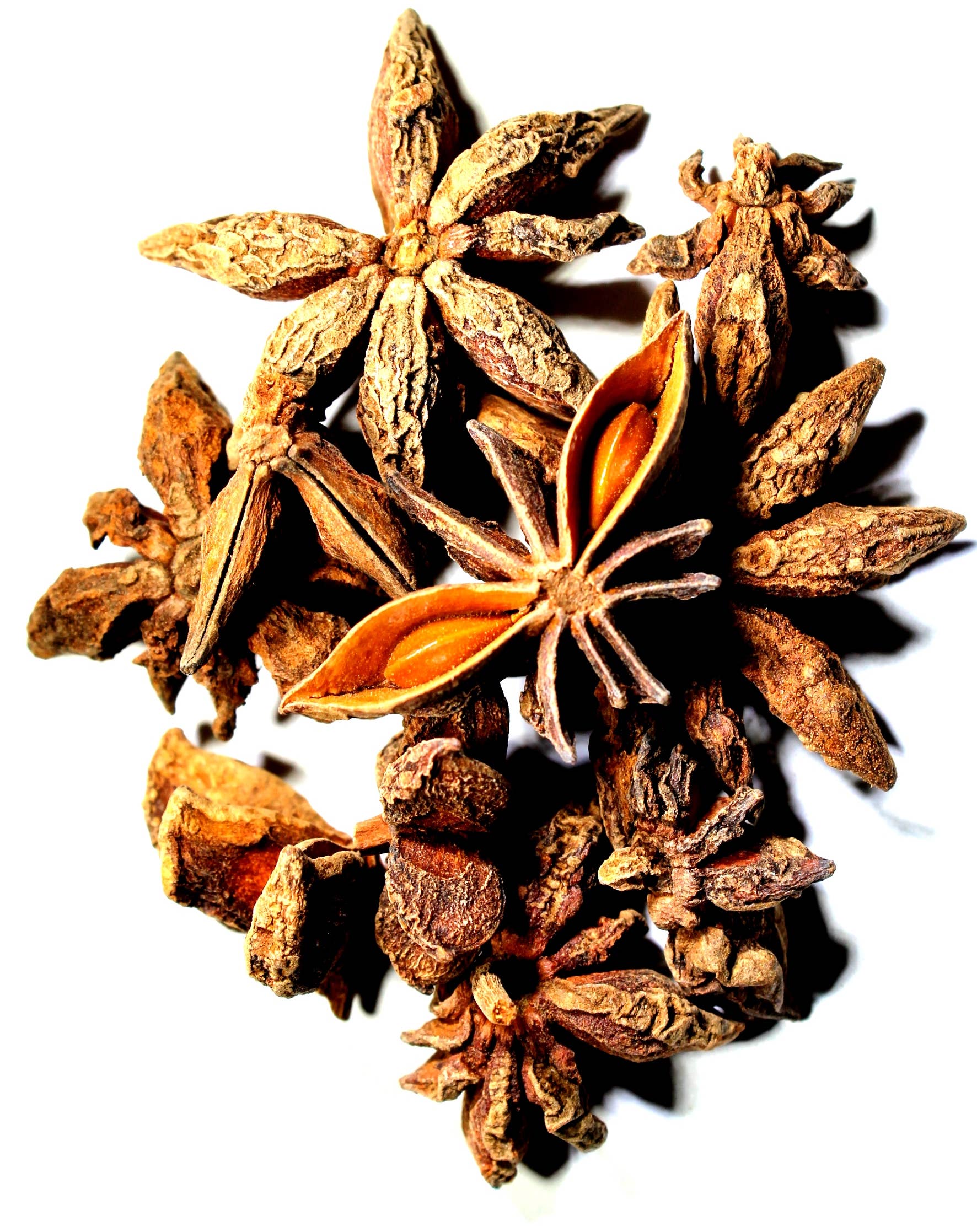 Nelson's Tea - Wholesale Loose Tea - Nelson's Tea - Star Anise - Crushed - 16 oz/(453.6g)0