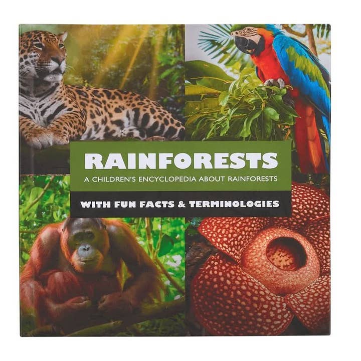 Abracadabra Books - Wholesale Early Reader Book (6-8) - Mini Explorers: Hardcover Box Set7