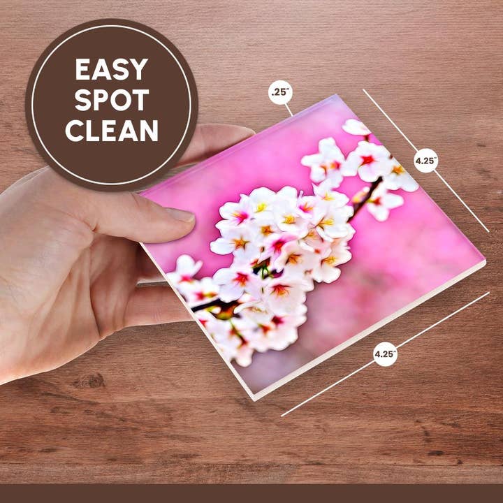 3dRose – Großhandel Untersetzer – 3dRose, Schönes Bild eines lichtdurchfluteten Kirschblütenblumen-Gemäldes, Untersetzer6