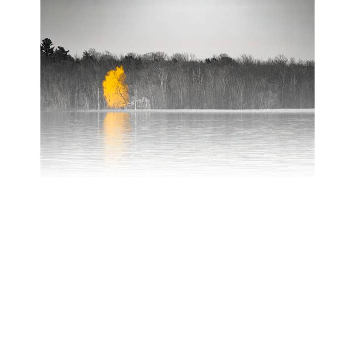 notepads | Willow Aglow | Ferrisburgh, Vermont for wholesale by wjd photography