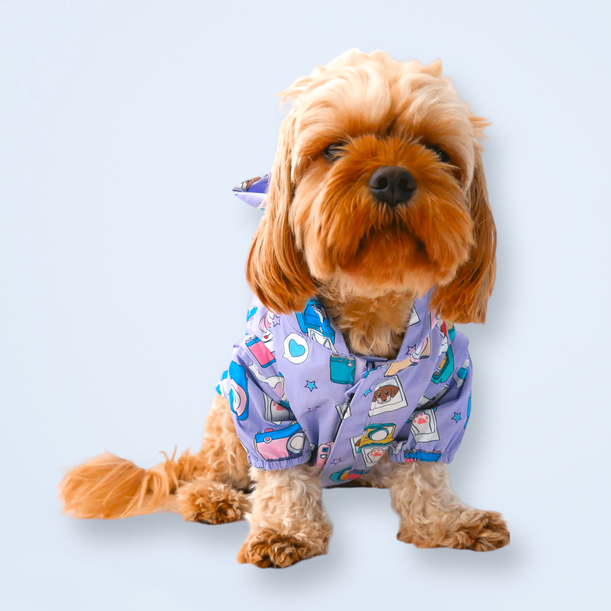 Zelda & Harley – wholesale Pet raincoat – Dog – Puparazzi Reversible Raincoat3