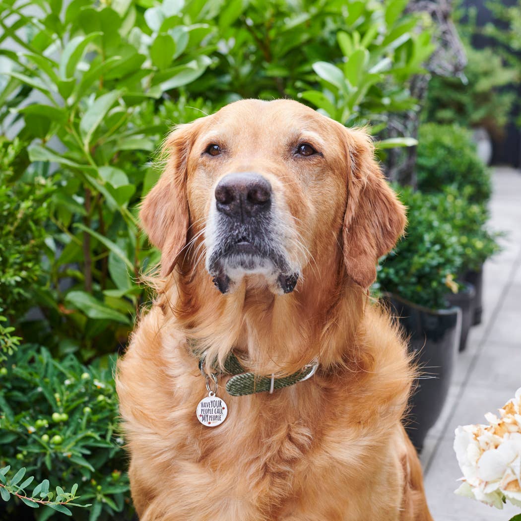 Sweet William Designs – Großhandel Haustiermarke – Katze/Hund – Namensschild für Hunde — „Lass deine Leute meine Leute anrufen“4