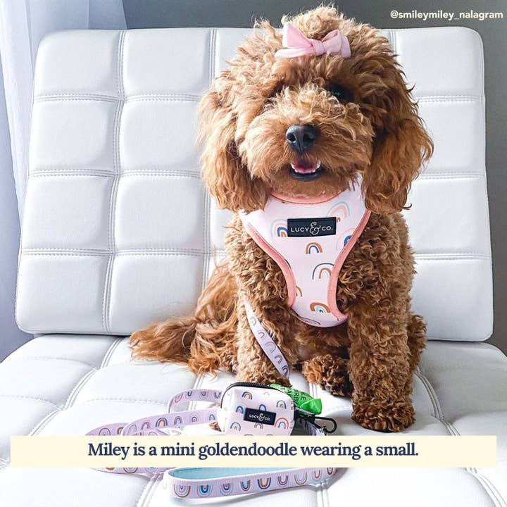 Lucy & Co. – wholesale Pet leash – Dog – In the Clouds Leash3