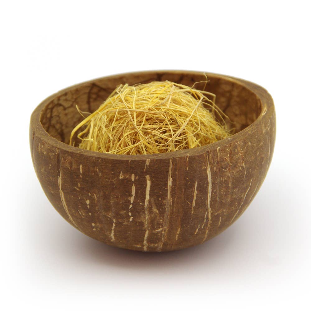 Enjoy la Vida - Wholesale Bowl - Small Coconut bowl | Petit Bol de Noix de Coco2