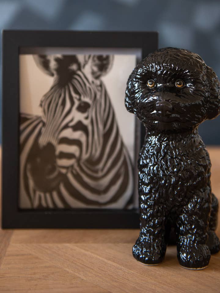 Sort puddel for engroshandel hos Floofs and Cookies