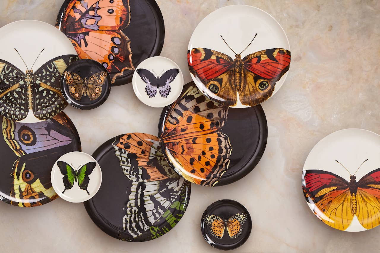 THOMASPAUL - Wholesale Dinner Plate - Metamorphosis Dinner Plates Set of 41