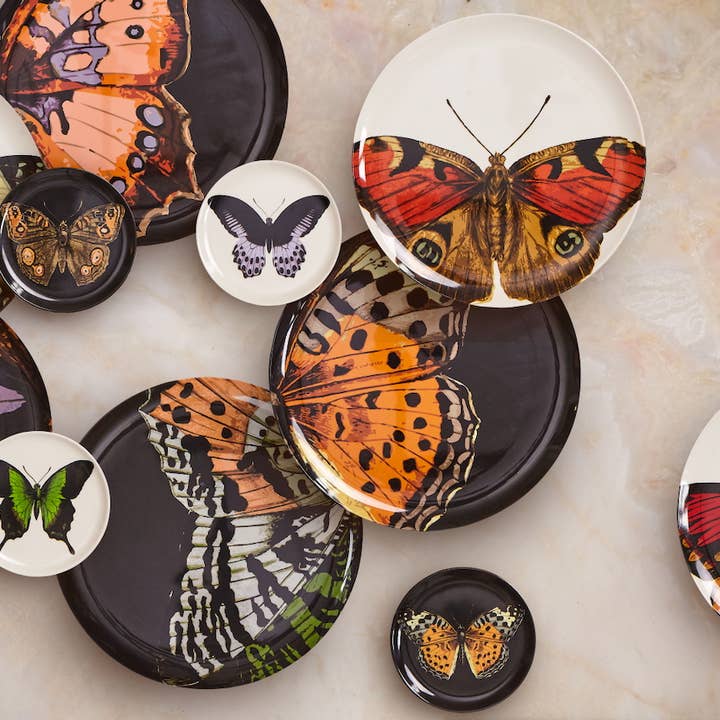 THOMASPAUL - Wholesale Dinner Plate - Metamorphosis Dinner Plates Set of 41
