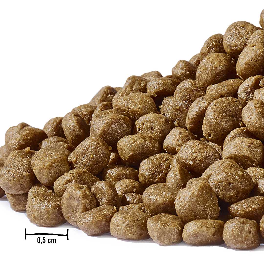 Dogs’n Tiger – wholesale Pet food – Cat – Dogs'n Tiger Junior cat food salmon & turkey3