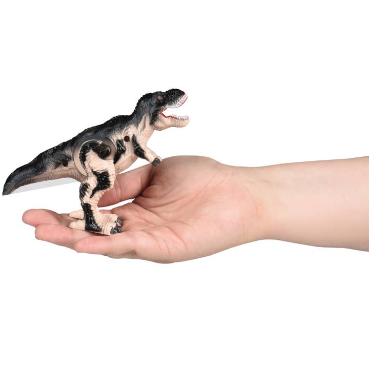 US Toy Company - Wholesale Wind-Up Toy - Kids - Wind Up Dinosaurs6