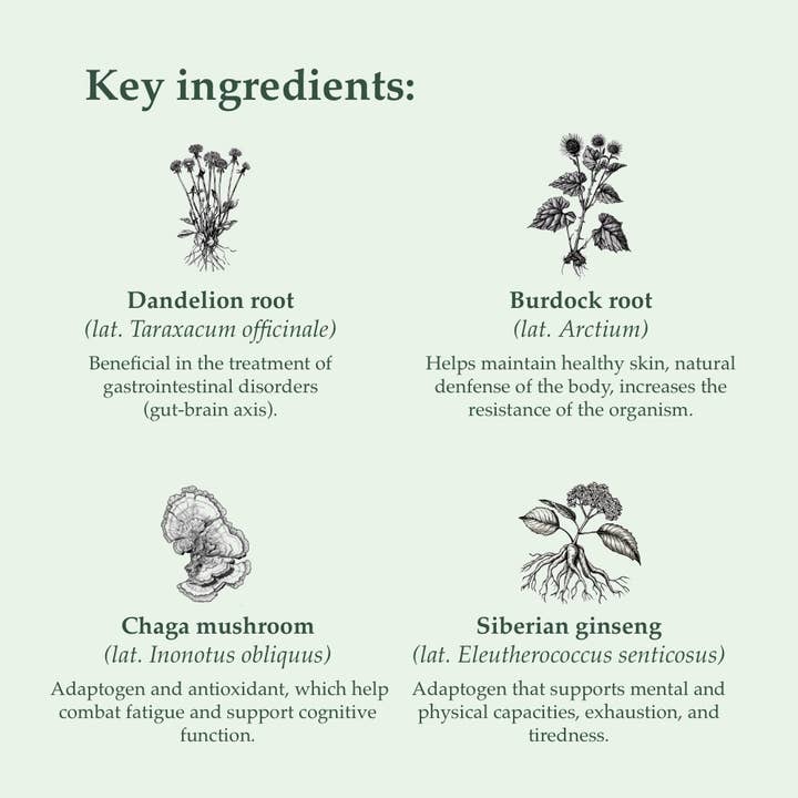 SOULEL - Wholesale Oral Supplement/Vitamin - Organic Dirt - Botanical Coffee Alternative for Focus3