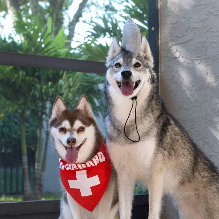 Midlee Designs – Disfarce – Gato e cão por atacado – Fantasia de cachorro de Halloween Midlee Shark vs. salva-vidas7