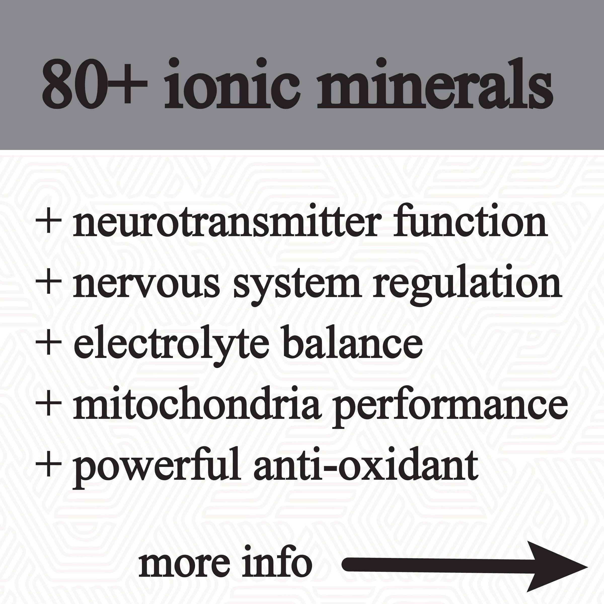 Roots Apothecary - Vente Supplément oral/vitamine - glycérine de shilajit (60 ml)2