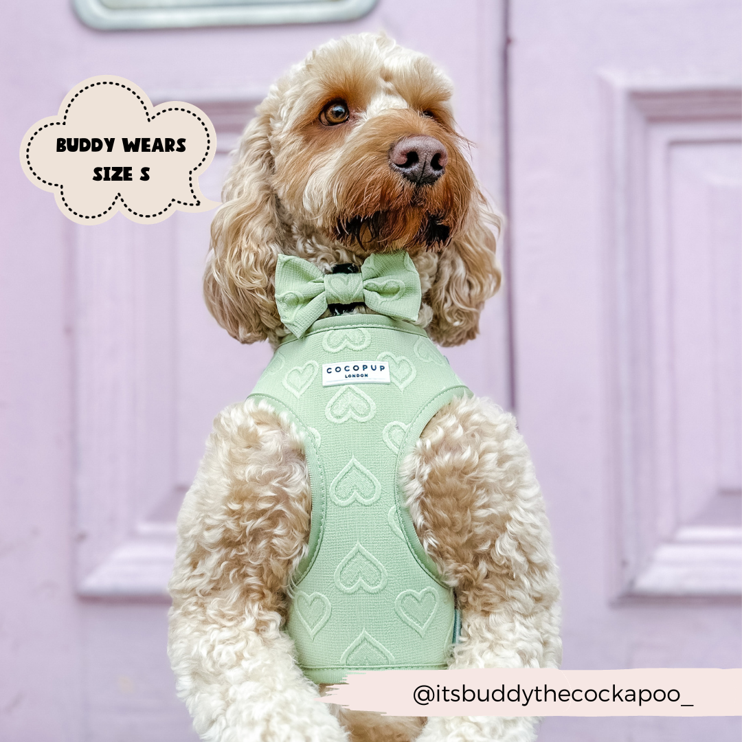 Cocopup London - Wholesale Pet Harness - Dog - Luxe Adjustable Neck Harness - Sage Heart9