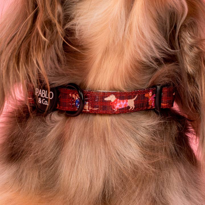 Merry Little Dachshunds: Collar for wholesale by Pablo & Co. Boutique