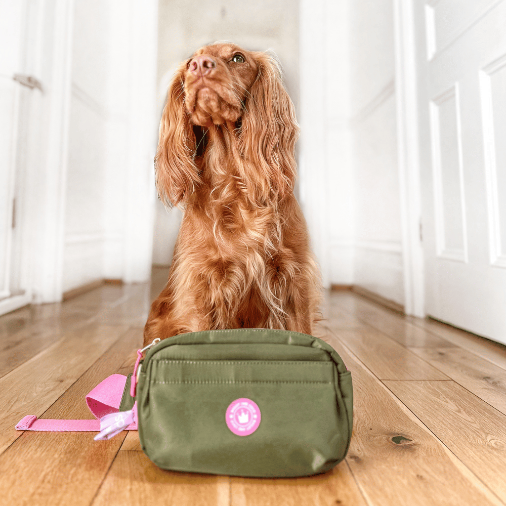 Bailey and Coco - Wholesale Belt Bag - Women's - Magnetic Snap Dog Walking Bum Bag - Olive it Hot8