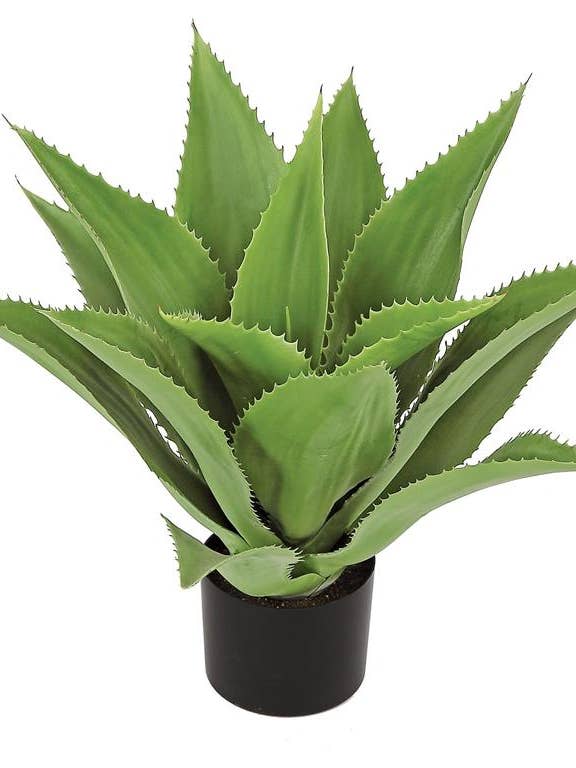Aloe Plant In Pot, 21", Green for wholesale by Select Artificials, Inc.