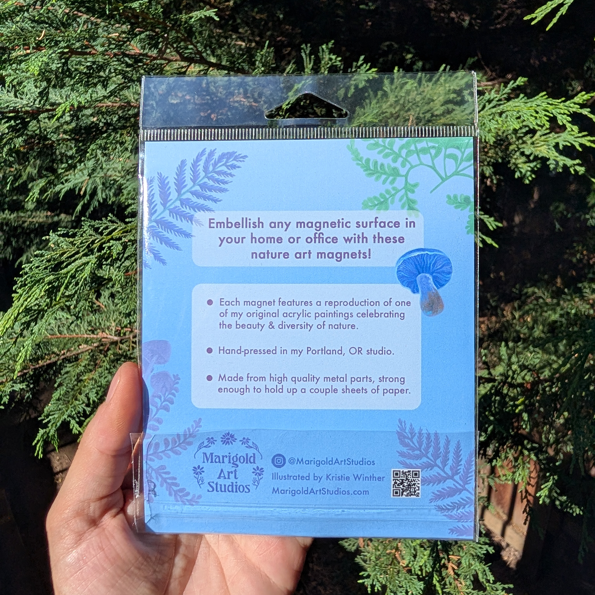 Marigold Art Studios - Wholesale Magnet - Luna Moth Nature Art Magnet 3" round 2