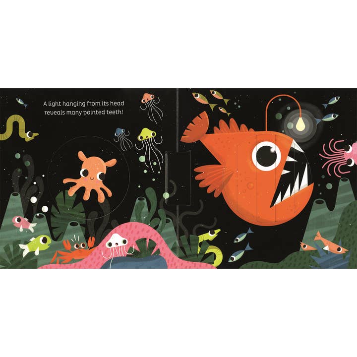 EDC Publishing - Wholesale Preschool Book (3-5) - Animal Magic: In the Ocean2