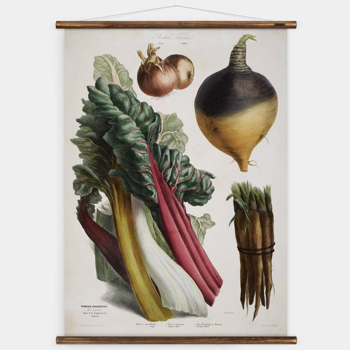 Álbum Vilmorin - Tabela de parede botânica por atacado de ERSTWHILE