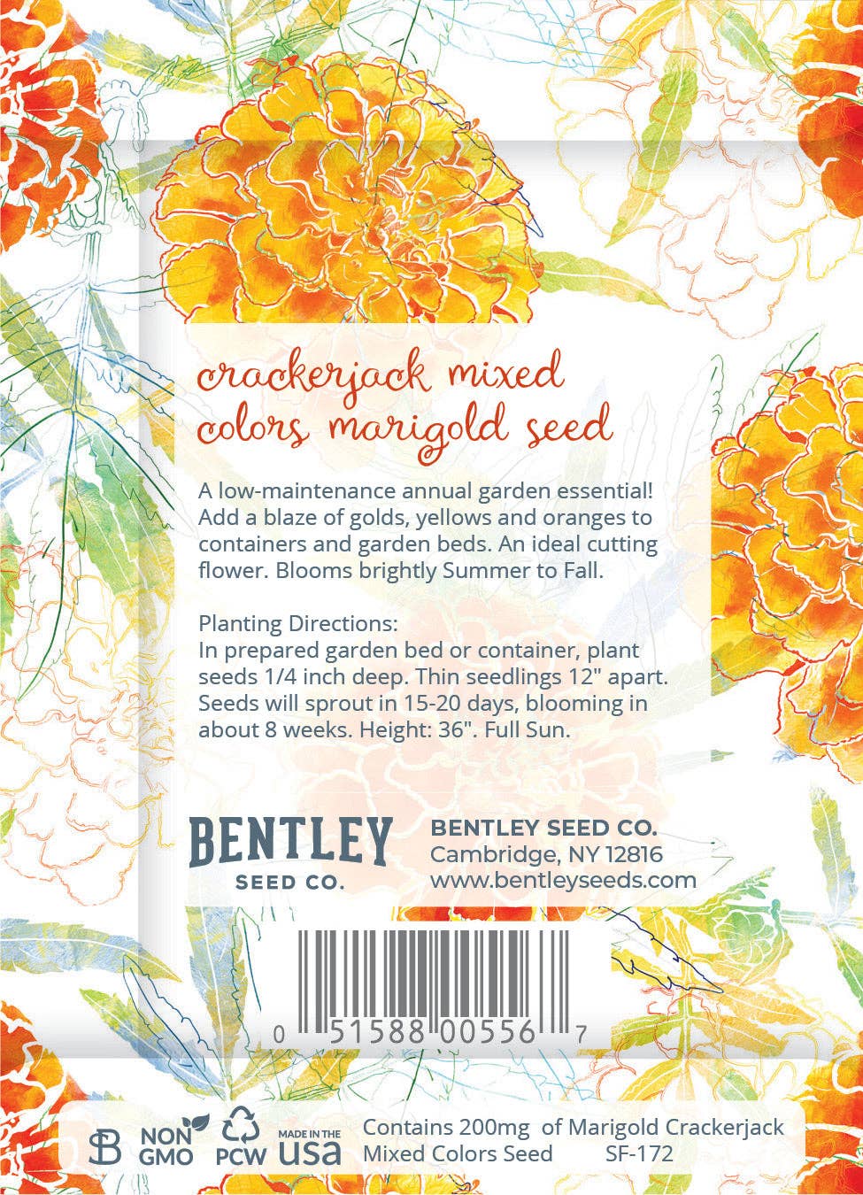 Bentley Seed Co. - Wholesale Mother's Day Card - Marigolds for Mom Mother's Day - Marigold Seed Packets1