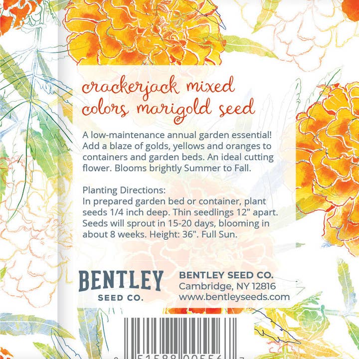 Bentley Seed Co. - Wholesale Mother's Day Card - Marigolds for Mom Mother's Day - Marigold Seed Packets1