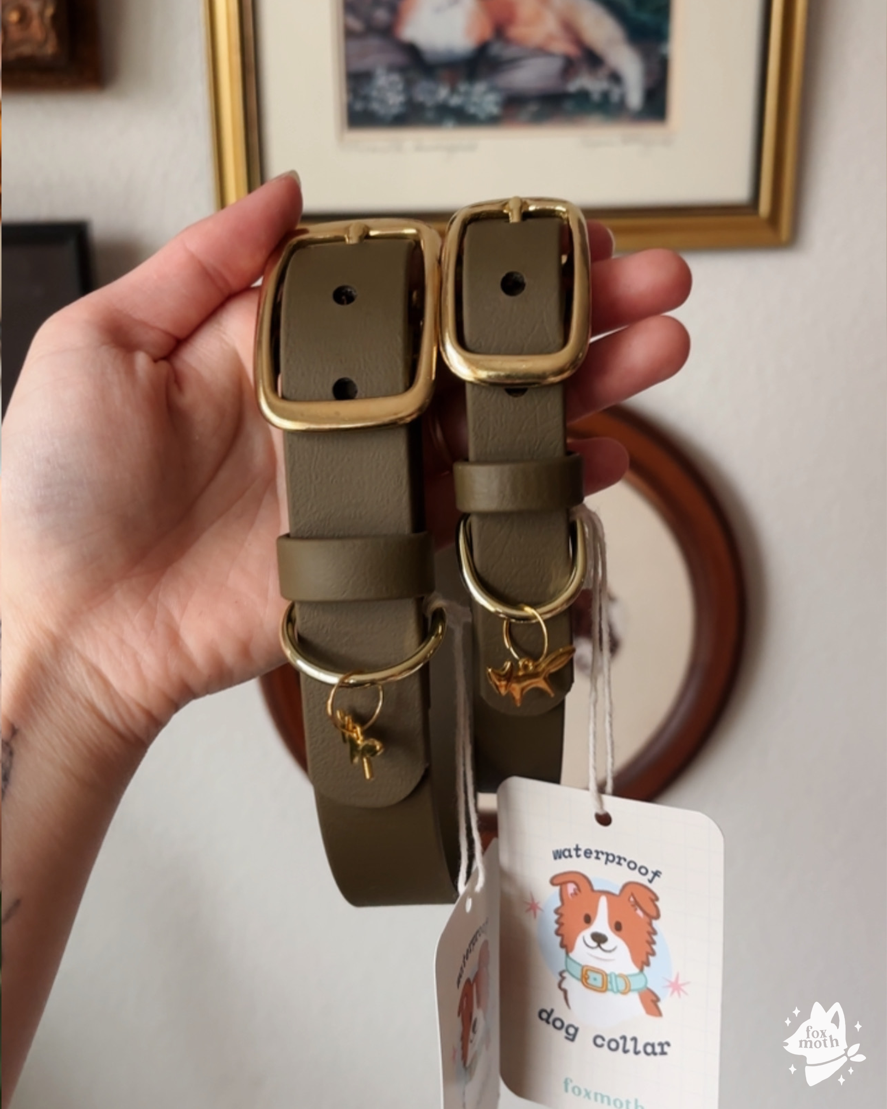 FoxMoth - Wholesale Pet Collar - Dog - Modern Waterproof Biothane Dog Collar [All 17+ Colors]20