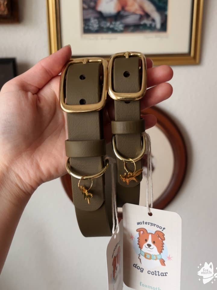 Waterdichte Biothane Hondenhalsband | Moskleur voor wholesale door FoxMoth