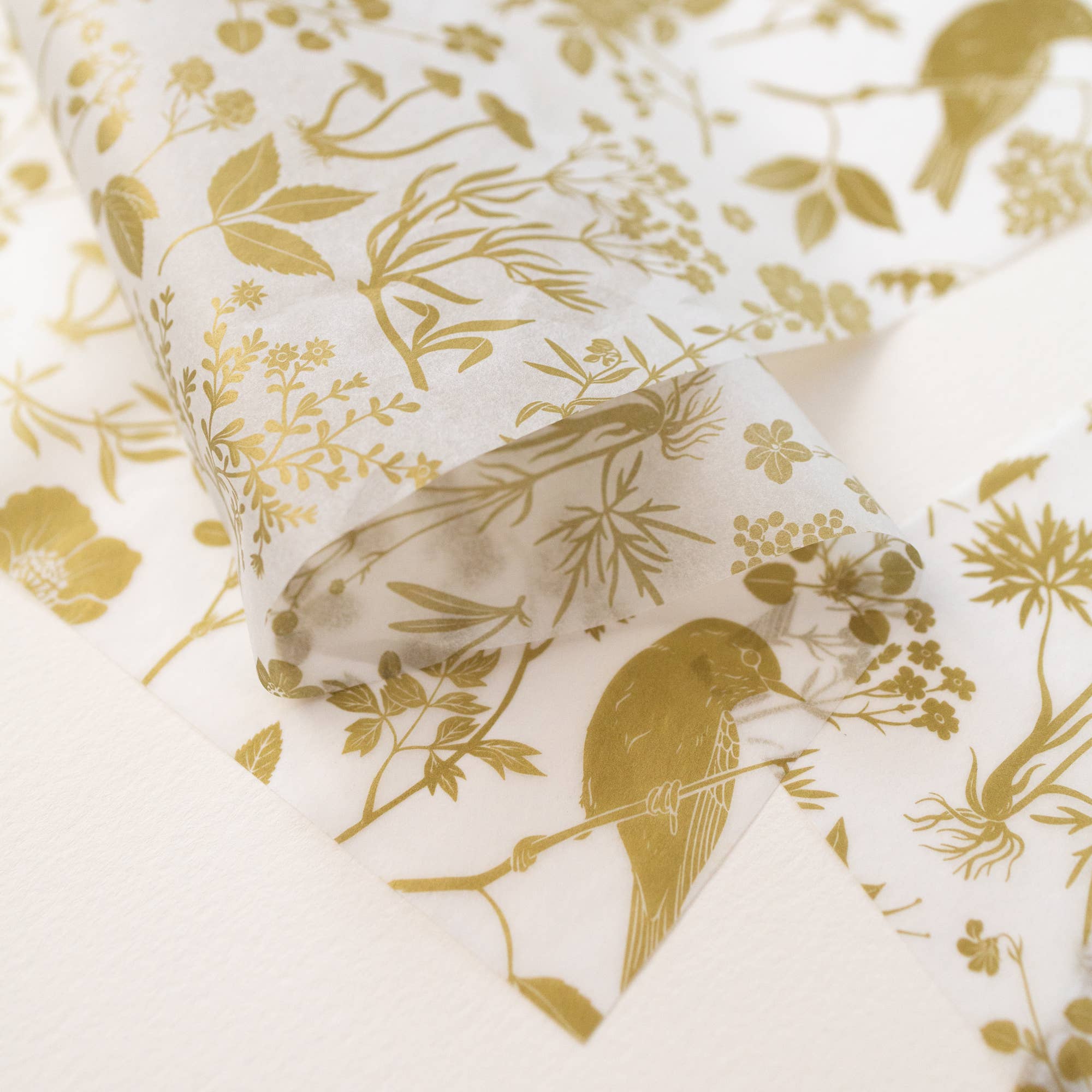 Botanica Paper Co. - Vente Papiers de soie - GOLD MEADOW | Papier de soie (10 feuilles)1