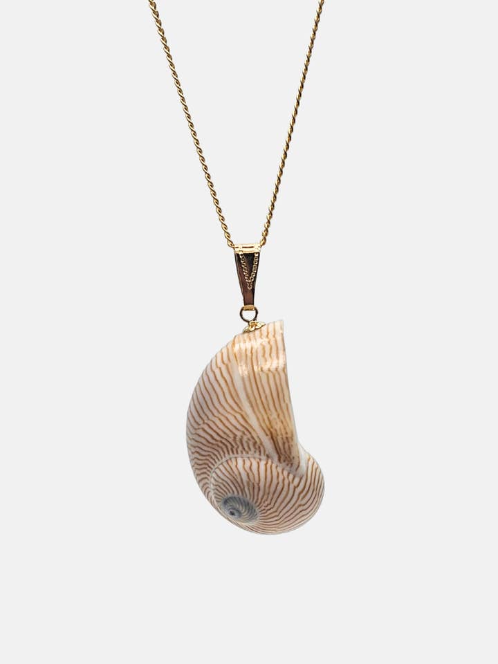 Collier coquillage Line for wholesale by LA MAISON GISEL B.