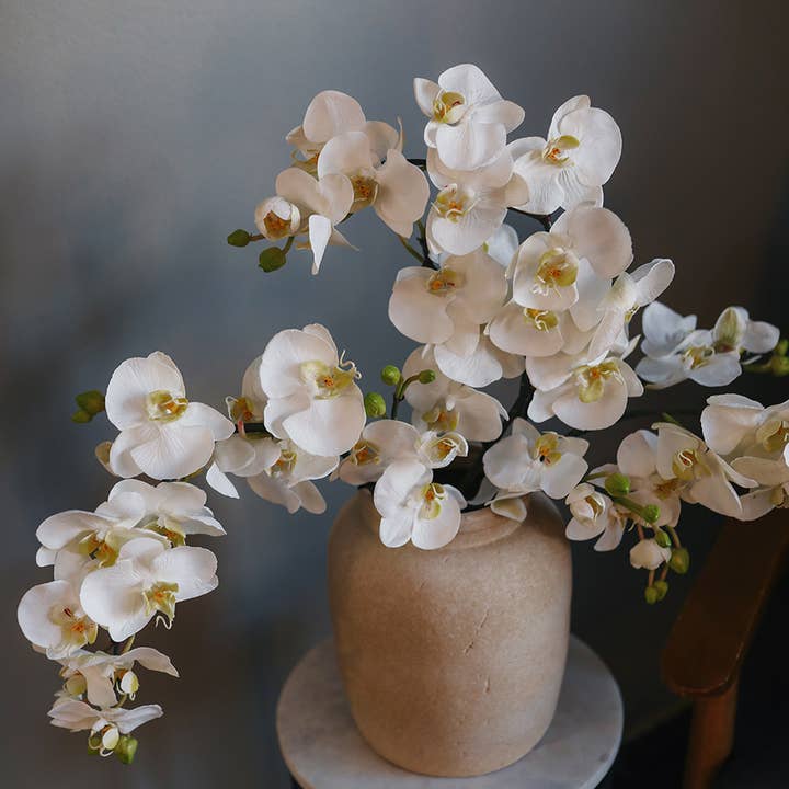 Prestige Botanicals - Vente Fleurs artificielles - Orchidée Phalaenopsis à Fleurs Blanches 34"6