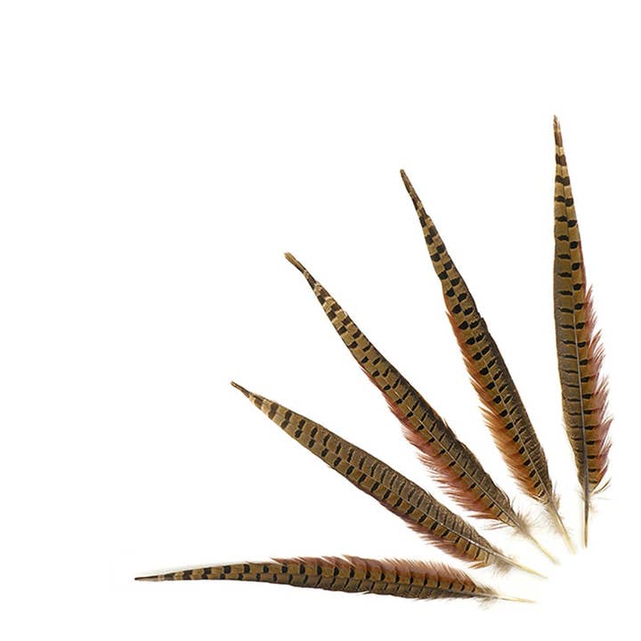Zucker Feather Products - Wholesale Craft Supplies - 10 PC/PKG Ringneck Pheasant Tails 14-16" - Natural