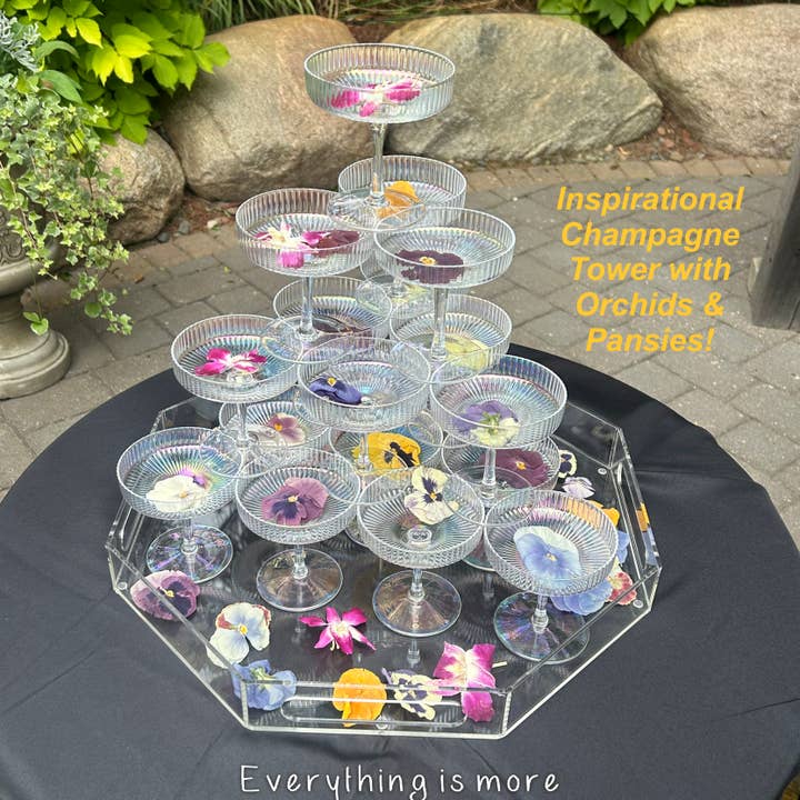 Freshly Preserved - Wholesale Dried/Dehydrated Vegetables - Freeze-dried Edible Orchids1