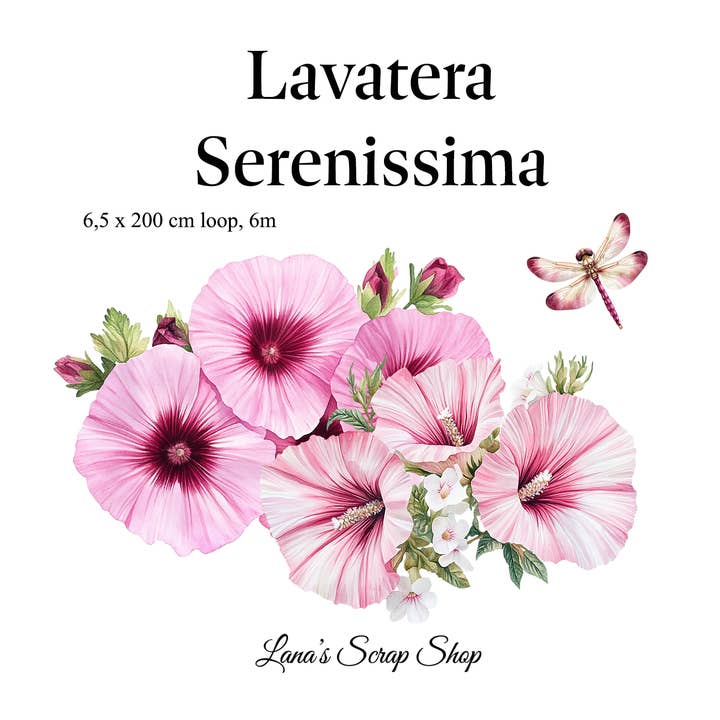 Lavatera Serenissima - PET-Band für den Großhandel von Lana's Scrap Shop