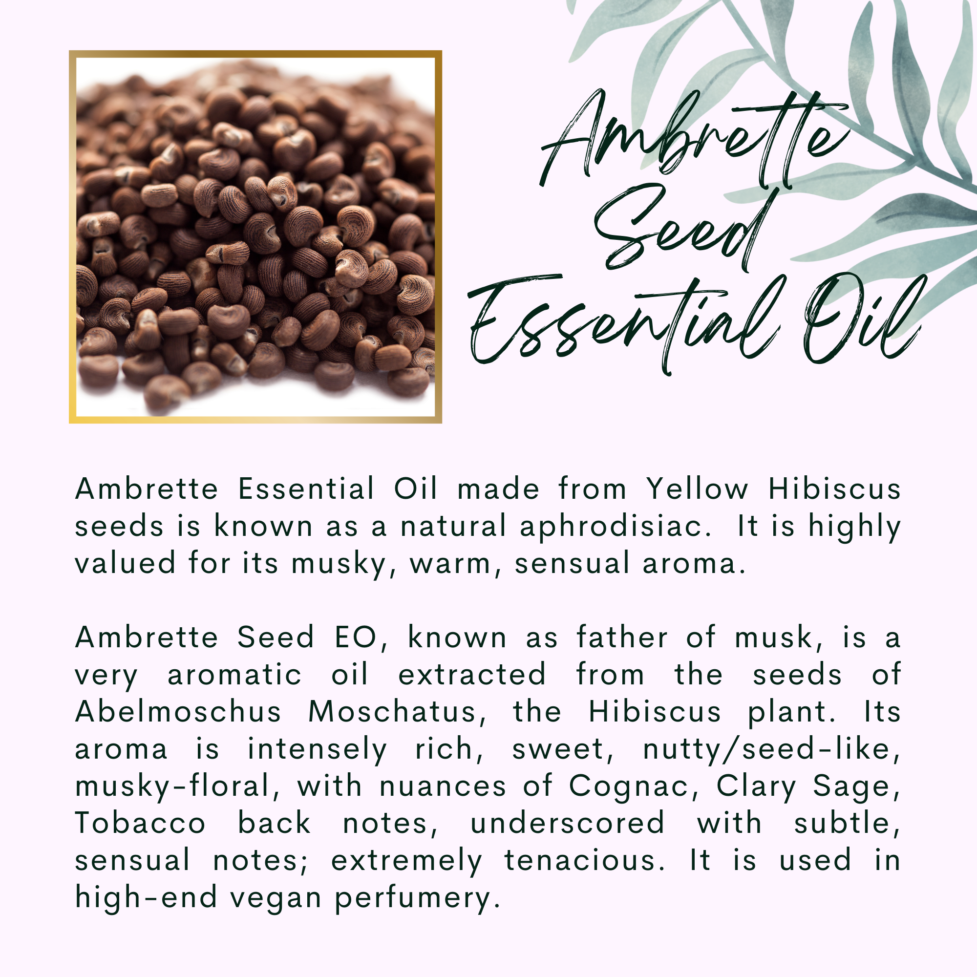 The Sacred Essence - Wholesale Hair Serum - CHAKRA - Hibiscus Trinity Ayurveda Hair Serum5