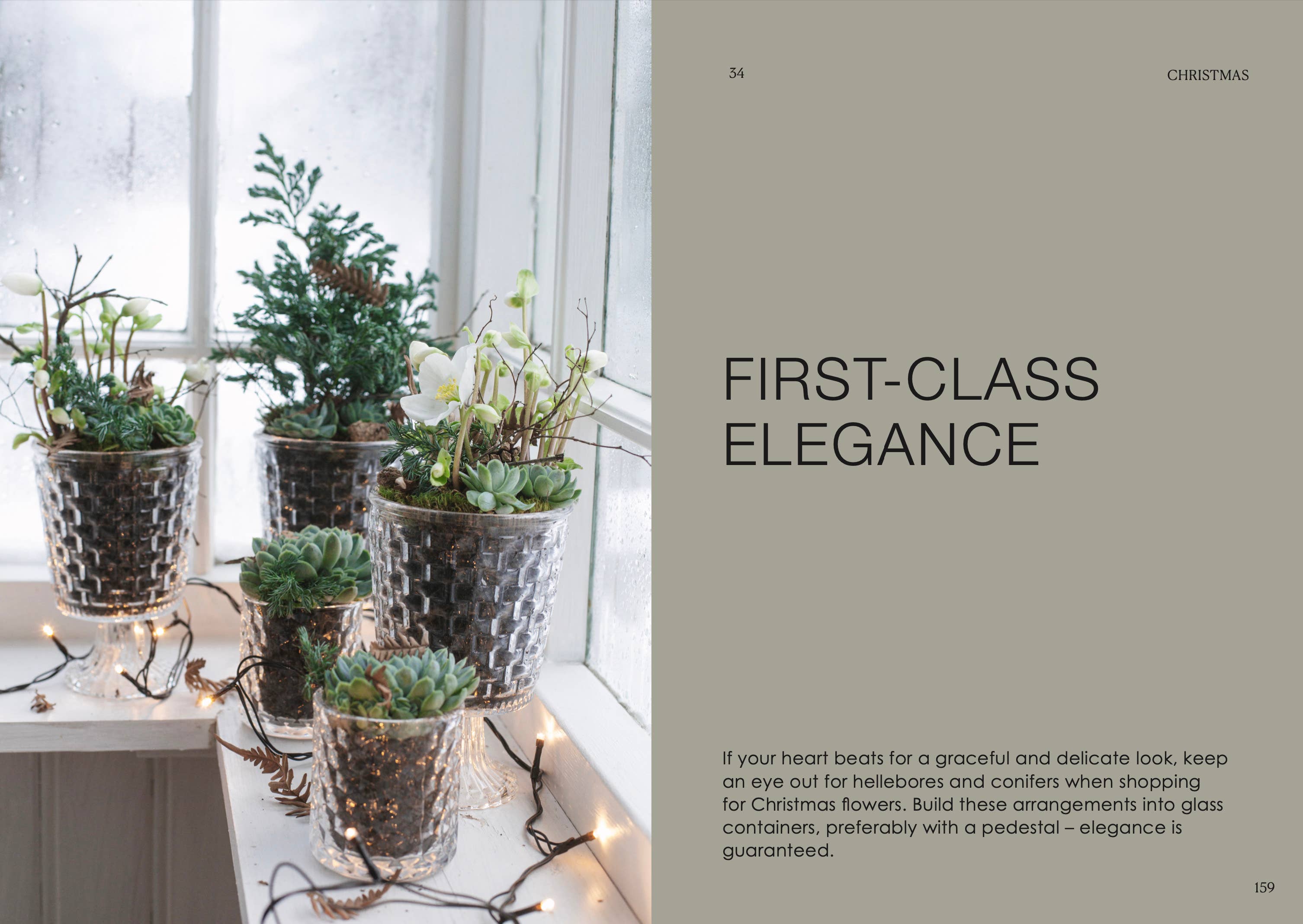 Cozy Publishing - Wholesale Home & Garden - The Potted Garden - All Year Round12