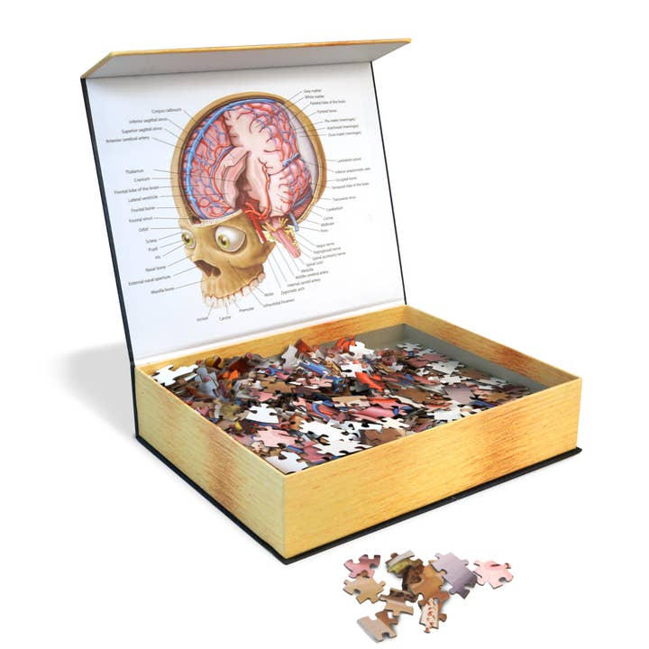Genius Games - Wholesale Puzzle - Adult - Dr. Livingston's Anatomy Jigsaw Puzzle: The Human Brain2