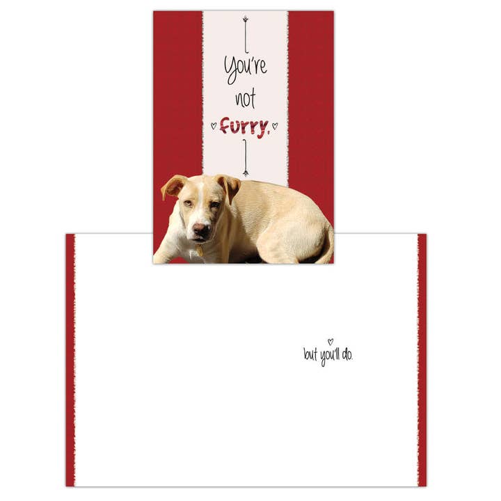 You're Not Furry Valentine or Romance Card for wholesale by Crown Point Graphics