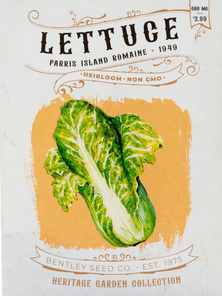 Lettuce-Parris Island Romaine 1949 for wholesale by Bentley Seed Co.