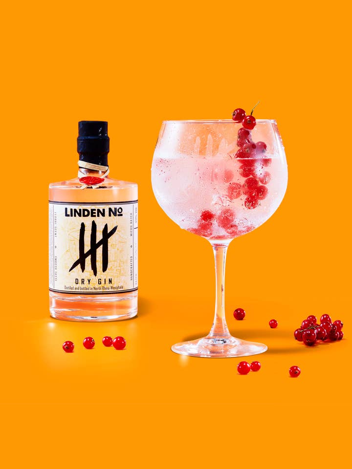 Linden No.4 Dry Gin 43% vol. Tutto 500 ml per la vendita all'ingrosso da parte di Fa. Paradise Punk inh. Marc Schmidt