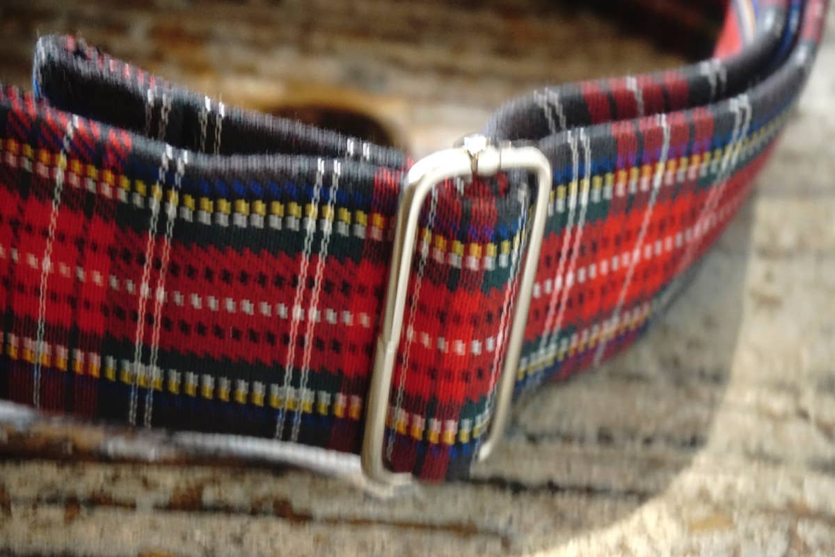 hundsfutter - Wholesale Pet Collar - Dog - Collar, leash, and bag holder set.10