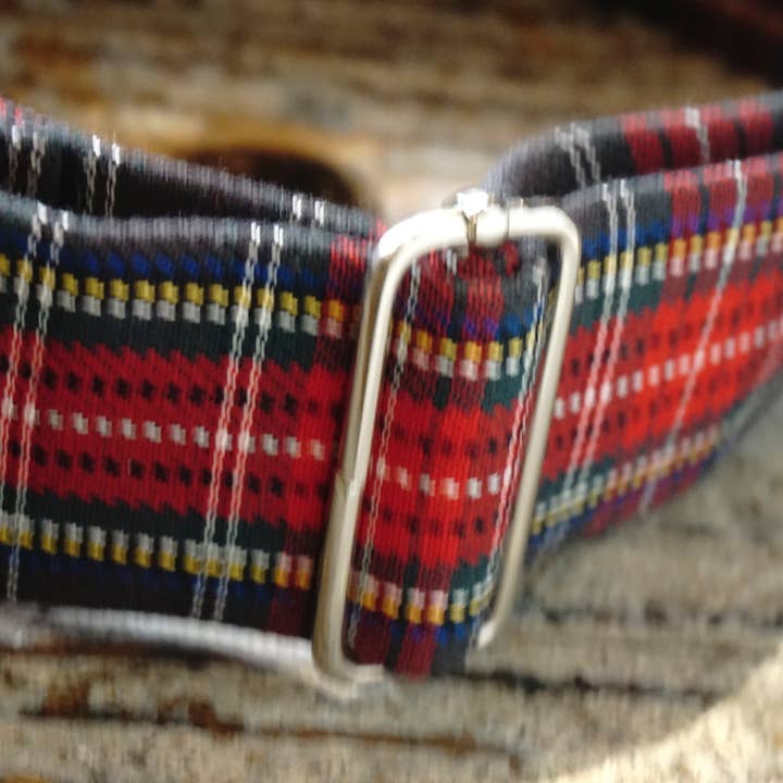 hundsfutter - Wholesale Pet Collar - Dog - Collar, leash, and bag holder set.10