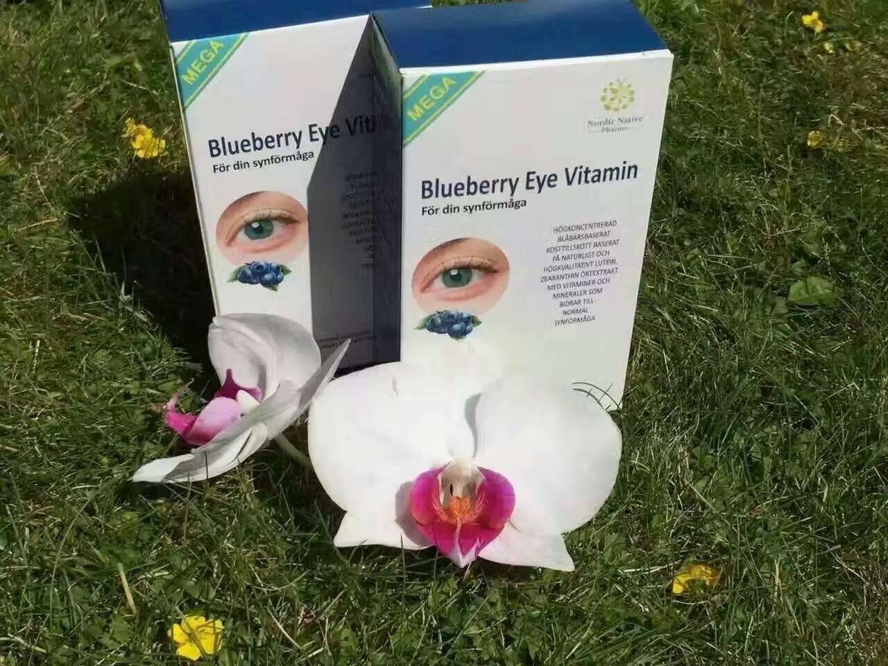 Nordic native pristine - Vente Supplément oral/vitamine - Méga vitamine pour les yeux à la myrtille5