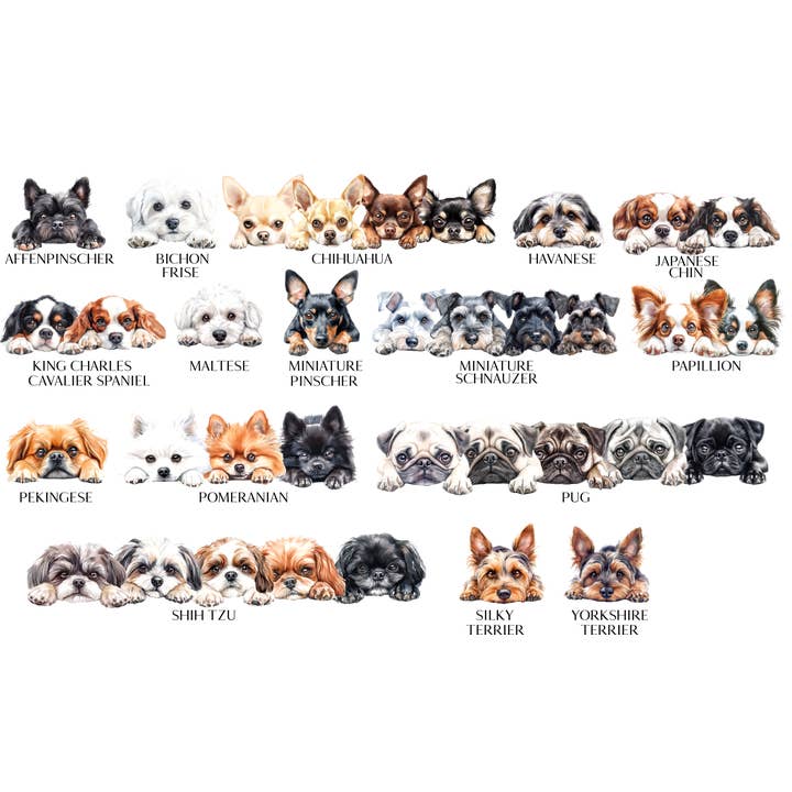 Storms Style – wholesale Tote bag – Unisex – Dog Tote Bag - 308 Designs 3