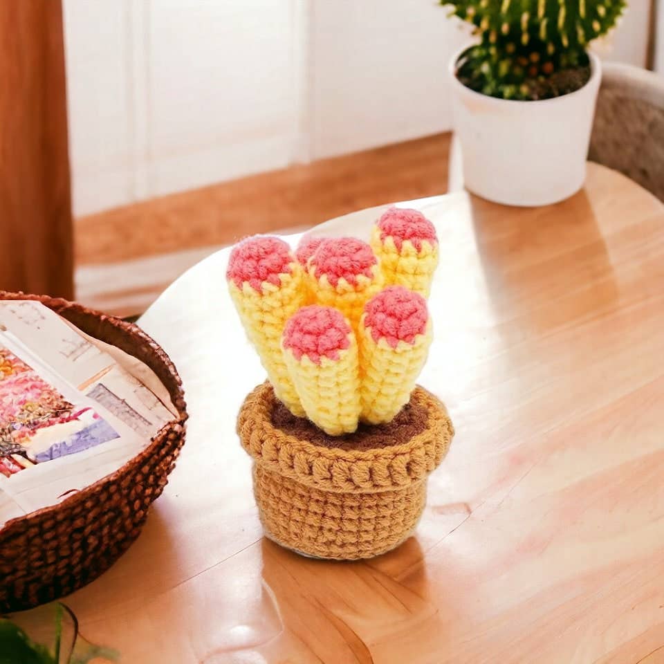 Anh2 LTD - Wholesale Decorative Tabletop Object - Crochet Cactus Plant Pot, Home Office Decor for Plant Lovers4